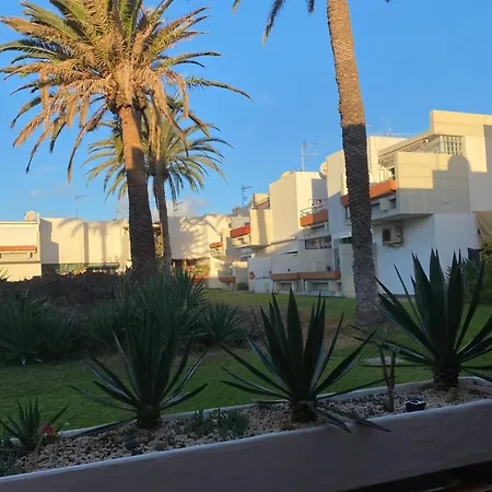 Veronicas Costa Del Silencio Arona (Tenerife)